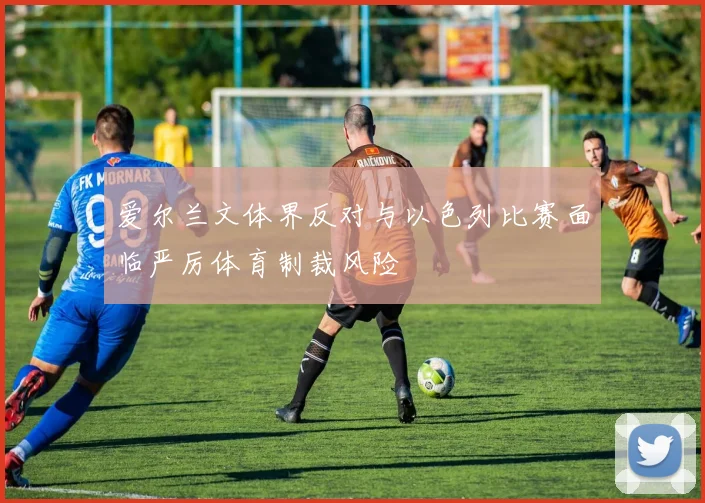 爱尔兰文体界反对与以色列比赛面临严厉体育制裁风险